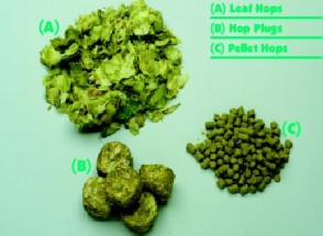 lực đắng cao hơn so với của hoa nguyên chi phí vận chuyển và bảo quản giảm 10