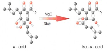 Hình 6 10 Đồng phân hóa α acid thành iso α acid dưới tác dụng MgO và nhiệt Chế 11
