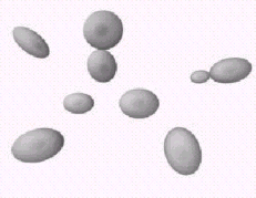 Hình 6 12 Tế bào nấm men nổi Hình 6 13 Tế bào nấm men chìm Đặc điểm hô hấp 4