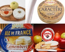 1 Hình 5 22 Một số loại phomat 5 2 Nguyên liệ u trong sả n xuấ t pho mát 5 2 1 1