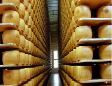 1 Hình 5 22 Một số loại phomat 5 2 Nguyên liệ u trong sả n xuấ t pho mát 5 2 1 2