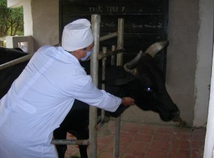 Hình 3 1 Kiểm tra thanh – khí quản bị 1 2 3 Phản xạ ho Khái niệm ho là một 1