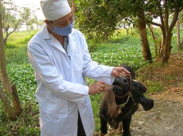 Hình 4 2 Kéo lưỡi bò gây phản xạ ợ hơi 2 6 6 Phòng bệnh Kiểm tra động tác 1