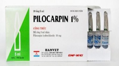 Ảnh 3 Thuốc Pilocarpin Tác dụng gián tiếp Là hậu quả của tác dụng trực tiếp 3