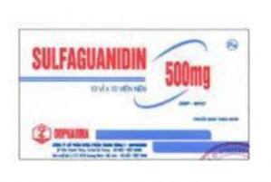 Ảnh 18 Thuốc Sulfaguaniddin Thuốc dùng chữa tiêu chảy ở các loài ăn thịt nhất 1