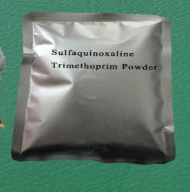 Tính chất và tác dụng Thuốc hấp thu qua ruột nhanh khuếch tán khắp các tổ 2