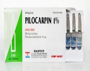 Ứng dụng điều trị Trong chứng liệt ruột liệt dạ dày chướng bụng đầy 3