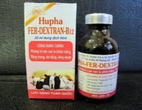 Tác dụng Sắt có tác dụng bồi dưỡng cơ thể khi đưa dextran sắt vào cơ thể 3