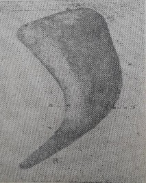 Hình 23 Lách ngựa 4 Hệ bạch huyết 4 1 Mạch bạch huyết mạch lâm ba Mao mạch 2