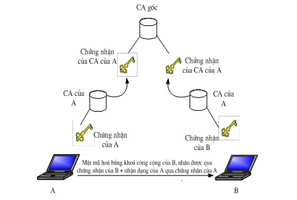 Hình 2 3 PKI dựa trên phân cấp CA phân bố Hình 2 3 trình bày trường hợp hai phía 2