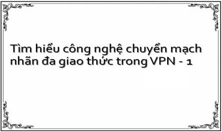 Tìm hiểu công nghệ chuyển mạch nhãn đa giao thức trong VPN - 1