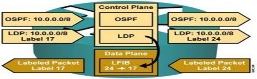 Hình 3 1 Cấu trúc MPLS 3 2 2 2 Cấu trúc nhãn Nhãn của MPLS là 1 trường 32 bit cố 1