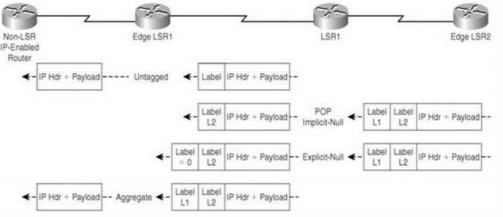Hình 3 3 Nhãn đặc biệt trong MPLS  Nhãn untagged gói MPLS được chuyển thành gói 3