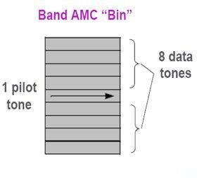 Hình 4 5 Mô hình AMC Một bin gồm 9 sóng mang con liền kề trong một kí hiệu với 8 31