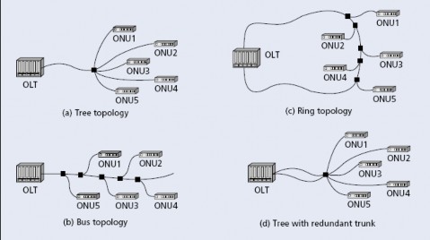 Hình 2 2 Các dạng kiến trúc của PON Các thành phần chính của một mạng PON là 2