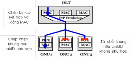 Hình 2 10 Hướng xuống trong PtPE Ở hướng lên ONU sẽ chèn LinkID được ấn 4