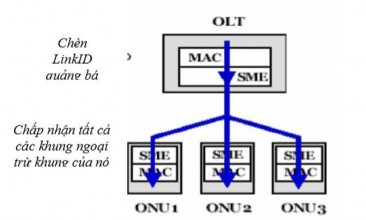 Hình 2 11 Hướng lên trong PtPE Cấu hình PtPE thích hợp với cầu khi mỗi ONU 5