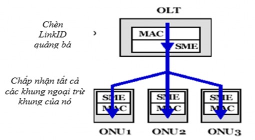 Hình 2 13 Hướng truyền xuống trong SME Hình 2 14 Hướng truyền lên trong SME SME 7