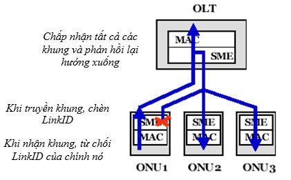 Hình 2 14 Hướng truyền lên trong SME SME chỉ yêu cầu một cổng MAC trong OLT Chức 8