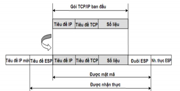 Hình 3 6 Hiệu ứng của ESP trong chế độ tunnel Trong các mạng 3GPP giải thuật 6