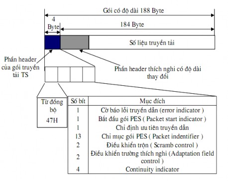 Hình 1 8 Cấu trúc gói dòng truyền tải TS Dòng truyền tải TS Có thể tạo thành 4