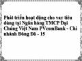 Phát triển hoạt động cho vay tiêu dùng tại Ngân hàng TMCP Đại Chúng Việt Nam PVcomBank - Chi nhánh Đông Đô - 15