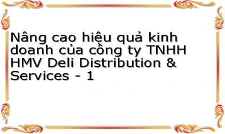 Nâng cao hiệu quả kinh doanh của công ty TNHH HMV Deli Distribution & Services - 1