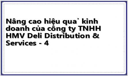 Khái Quát Về Công Ty Tnhh Hmv Deli Distribution & Services