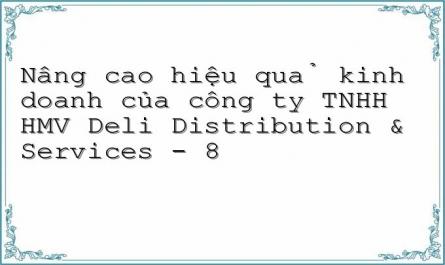 Nâng cao hiệu quả kinh doanh của công ty TNHH HMV Deli Distribution & Services - 8