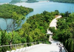 Thực vật đặc biệt là các khối rừng tự nhiên và cả các khu rừng nhân tạo 2