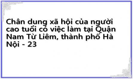 Chân dung xã hội của người cao tuổi có việc làm tại Quận Nam Từ Liêm, thành phố Hà Nội - 23