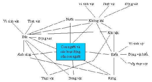 Hình 1 1 Trọng tâm của con người trong môi trường sinh thái Các hoạt động trao 1