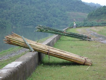 Hình 3 Người dân khai thác tre nứa lồô và đang đợi mang về Hình 4 Một số 7