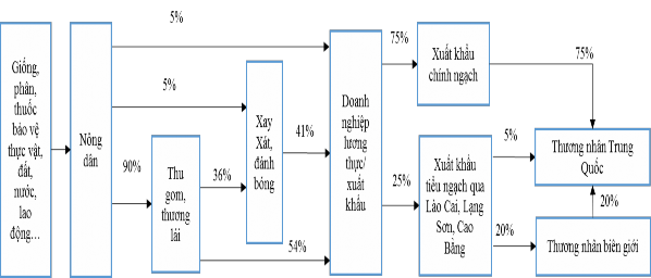 Hình 3 1 Sơ đồ chuỗi cung ứng Gạo xuất khẩu sang Trung Quốc Nguồn Tác giả 1