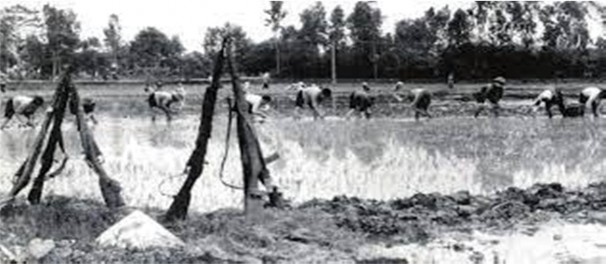 Hình ảnh phụ nữ Ba đảm đang Tay cày tay súng Ảnh Tư liệu TTXVN Thi đua lao 11