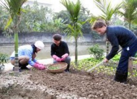 Các hoạt động thể thao cũng phổ biến ở khu vực nông thôn như chơi golf câu 4