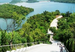 Thực vật đặc biệt là các khối rừng tự nhiên và cả các khu rừng nhân tạo 2