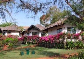 Đặc điểm về cơ sở vật chất kỹ thuật Tuy thuộc vào từng thể loại cũng 3