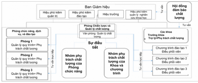 Hình 3 1 Mô hình tổ chức của hệ thống ĐBCL đào tạo Nhìn vào sơ đồ trên có 1