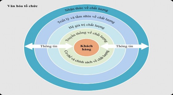 Hình 1 6 Ảnh hưởng của văn hóa khách hàng đến ĐBCL trong trường đại học 18 2