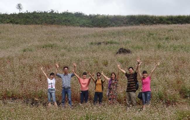 Cánh đồng hoa Tam Giác Mạch tại xã Tả Van Chư – Bắc Hà Nguồn Tác giả tháng 2