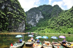 Chở đò khách du lịch Chở khách đi xe bò Bán rong trên sông Ngô Đồng Trình 11