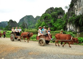 Chở đò khách du lịch Chở khách đi xe bò Bán rong trên sông Ngô Đồng Trình 12