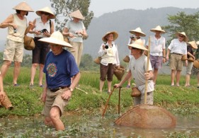 Khách tây đánh dâm Khách tây úp cá Nhà cổ làm điểm tham quan Nhà nghỉ homestay 23