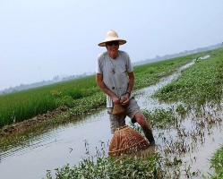 Khách tây đánh dâm Khách tây úp cá Nhà cổ làm điểm tham quan Nhà nghỉ homestay 24