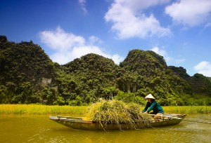 Đánh cá trên sông Thu hoạch lúa Bắt cua Đánh dậm Đi lấy củi Riu tôm tép Phụ 4