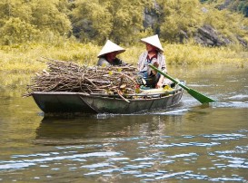 Đi lấy củi Riu tôm tép Phụ lục 6 2 Một số hình ảnh hoạt động sinh kế mới 7