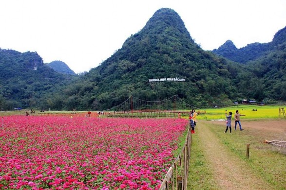 Thung lũng Hoa Bắc Sơn xã Trấn Yên Khu du lịch sinh thái Suối Mỏ Mắm xã Chiến 4