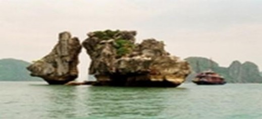 Hội nghị lần thứ 18 của Ủy ban Di sản Thế giới họp tại Phù kẹt Thái Lan 1