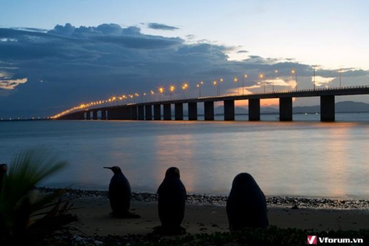 Cầu Nhơn Hội Tháp Chăm Mộ Hàn Mặc Tử Khu du lịch FLC Eo Gió Nhơn Lý Kỳ Co 1